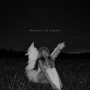 Heaven's in a Panic by BRUCER