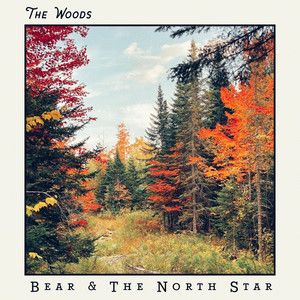 The Woods by Bear & The North Star