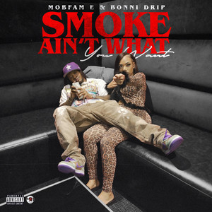 Smoke Ain't What You Want by Bonni Drip, MobFam E