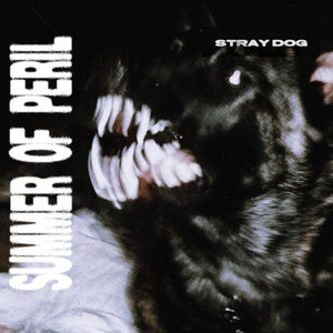 Stray Dog by Summer of Peril