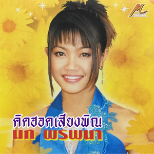 คิดฮอดเสียงพิณ