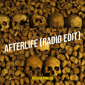 Afterlife (Radio Edit) by Nathan Rinaldi