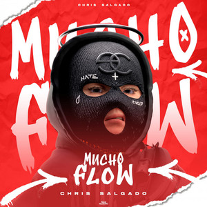 Mucho Flow - Original Mix by Chris Salgado