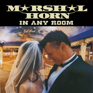In Any Room by Marshal Horn