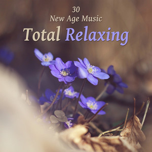 30 New Age Music: Total Relaxing, Stress Relief, Meditation & Yoga, Zen Tracks, Spa Music Paradise album