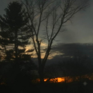 i see it in the dark by silence is noise