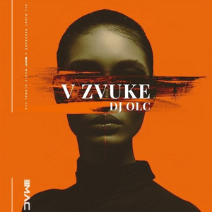 V Zvuke by DJ OLC