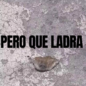 PERRO QUE LADRA by Los Choclitos