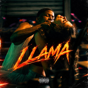 LLAMA-Yk It's Junaa by VAULTMUSIC