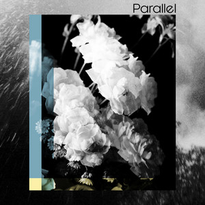Field of Love by Parallel