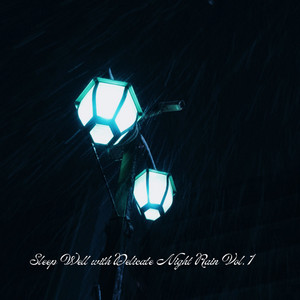 Sleep Well with Delicate Night Rain Vol. 1 album