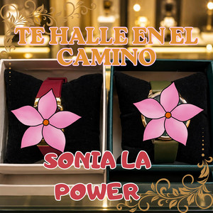 TE HALLE EN EL CAMINO by SONIA LA POWER