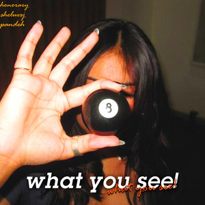 what you see! by HONORARY, sheluvsj, Pandeh