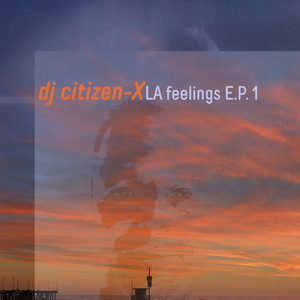 DJ CITIZEN-X - La Feelings (303 Budha MIX)