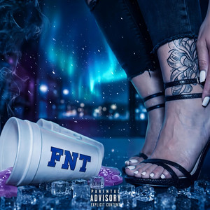 Polo Nord by FNT
