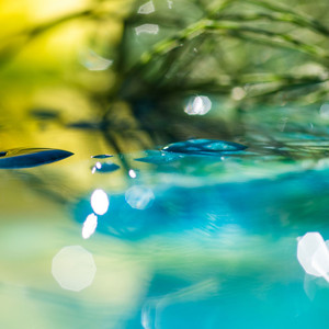 mohamad capoat - رحيل الوالد هو رحيل الحياة