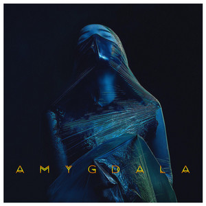 Amygdala by Venox, V.I.P.N