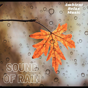 Sound of Rain