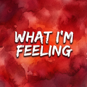 What Im Feeling by Lady Vanci