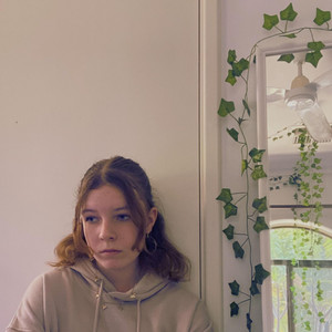 The Dandelions