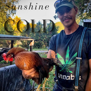 Portada de COLD