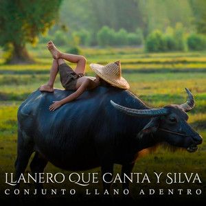 Conjunto Llano Adentro - Llanero Que Canta Y Silva (Instrumental)