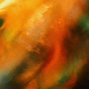 Flutes Of The Jungle by Thing