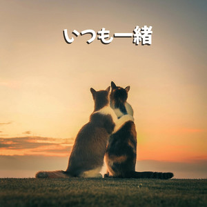 YoYo - Always together