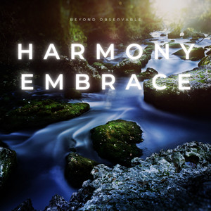Harmony Embrace by Beyond Observable