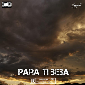 Para Ti Beba by YoungFre