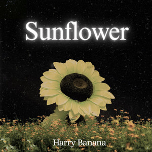 Sunflower by Harry Banana