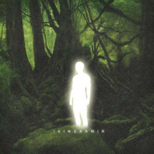 ikingaamir - Meme Theme