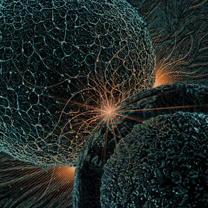 See You On The Otherside by Night Thieves, Jessie Powell