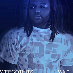 WAIT by WEEGOTHITS