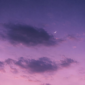 Purple Rain by Lisa Solgen