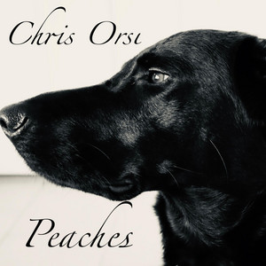 Chris Orsi - I'm Gone