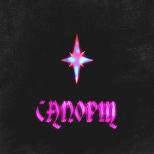 САПОРТ