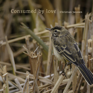 Consumed by love by Christian Janssen