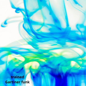trained by Gartiner funk
