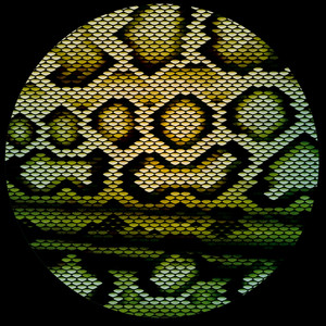 Boomslang by LV, Okmalumkoolkat