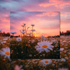 ondiamood - Back In Motion