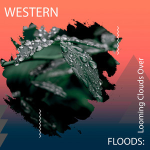 zZz Western Floods: Looming Clouds Over the Woods zZz album