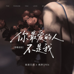 你最爱的人不是我 - DJ九零国粤对唱版伴奏 by 亮声open, 草原兄弟