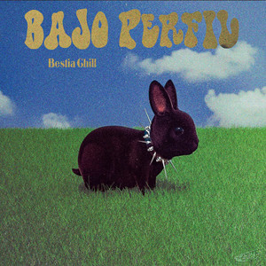 Bajo Perfil by Bestia Chill