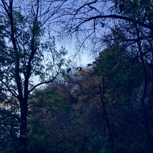 hxllxt — Forget