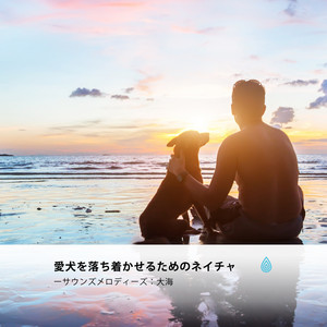 インスピレーションバイブのための水のメロディー by Yao Zen, Bradley Evan Peace