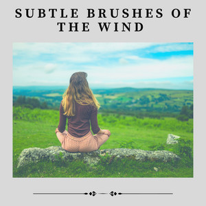 Subtle Brushes of the Wind album