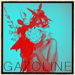 Gazoline cover