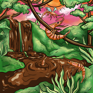 Get Down by Cocoa Shrimp Safari