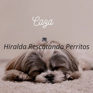 Hiralda Rescatando Perritos - Caza
